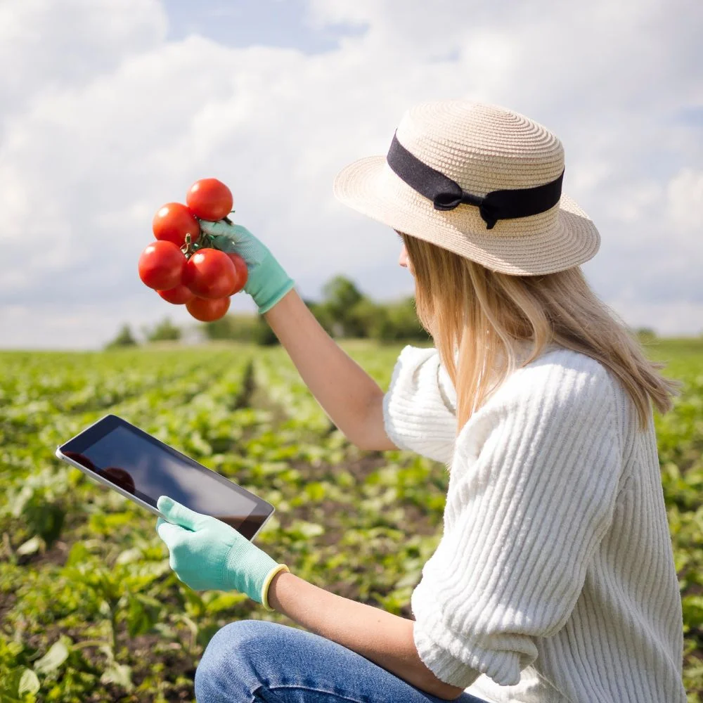 ACTIVITÉS DES SERVICES ET D'APPUI DU SECTEUR AGRICOLE