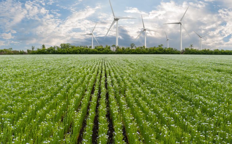  Énergies renouvelables et agriculture tunisienne : un marché stratégique en pleine croissance.